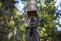 Mökki se on tämäkin