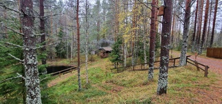 Savusaunan harmoniaa.