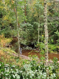 Näkymä alajuoksulle