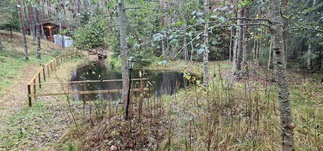 Näkymä korsusaunalta Pieksulammen suuntaan