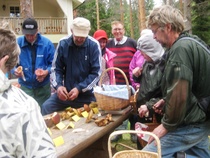 Sienien tunnistus on tärkeää ! 