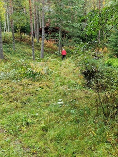 Ensin poistettiin suoja-aita ja puskat Pieksulammen ympäriltä
