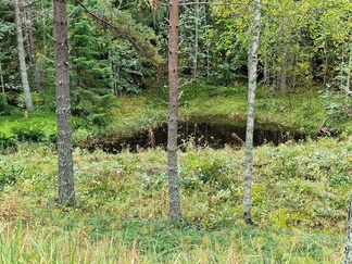 Pieksulampi ennen ruoppausta