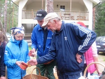 Sienien tarkkaalua !